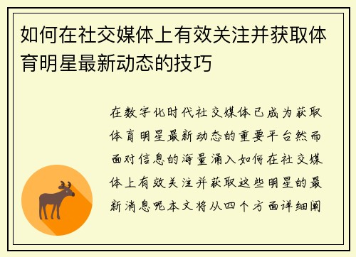 如何在社交媒体上有效关注并获取体育明星最新动态的技巧