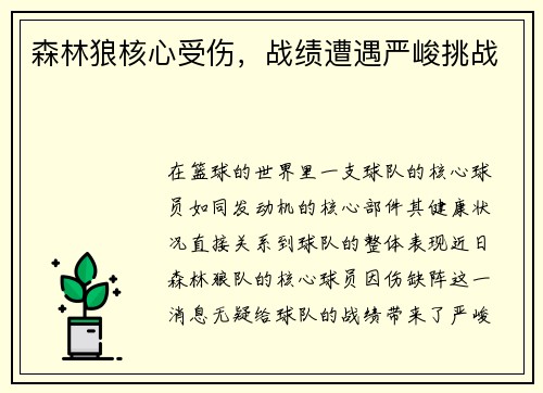 森林狼核心受伤，战绩遭遇严峻挑战